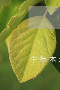 宁德本地民事债务律师费用 宁德本地民事债务律师费用