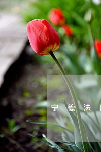 宁德法院招聘信息网 宁德法院招聘信息网