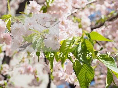 宁德法院试行被失信人修复激励机制 宁德法院试行被失信人修复激励机制
