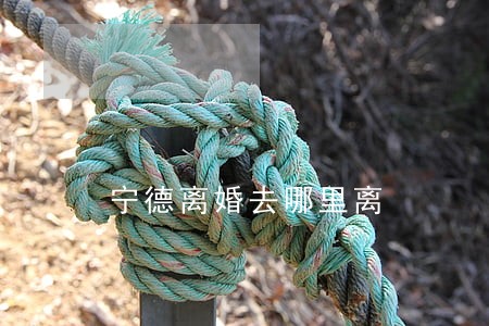 宁德离婚去哪里离 宁德离婚去哪里离