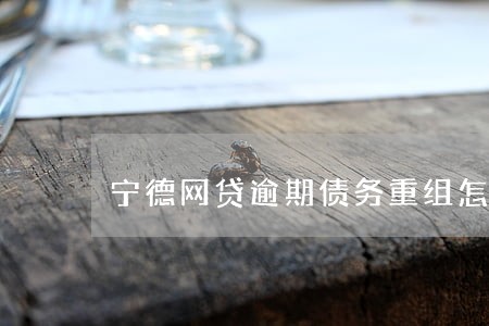 宁德网贷逾期债务重组怎么协商 宁德网贷逾期债务重组怎么协商