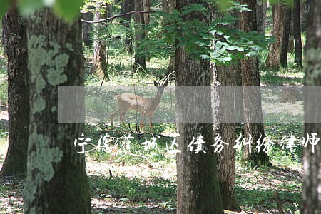 宁德蕉城区债务纠纷律师 宁德蕉城区债务纠纷律师