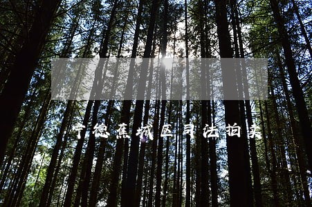 宁德蕉城区司法拍卖 宁德蕉城区司法拍卖