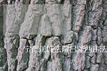 宁德蕉城法院吕泽西违法 宁德蕉城法院吕泽西违法
