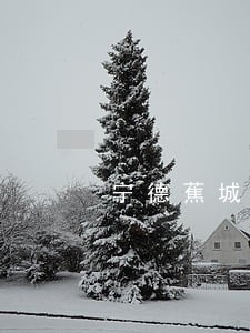 宁德蕉城法院林亦林
