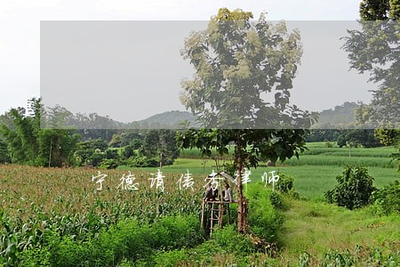 宁德请债务律师 宁德请债务律师