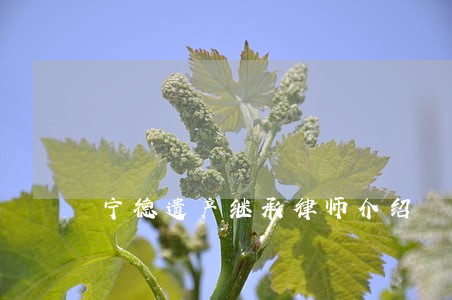 宁德遗产继承律师介绍