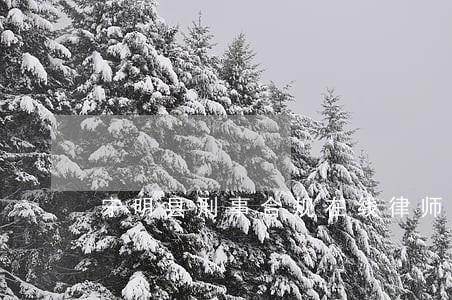 宁明县刑事合规在线律师咨询 宁明县刑事合规在线律师咨询