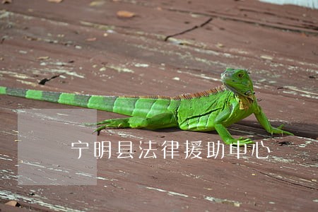 宁明县法律援助中心