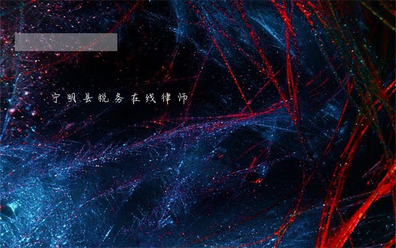 宁明县税务在线律师 宁明县税务在线律师