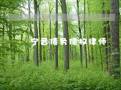 宁晋债务债权律师 宁晋债务债权律师