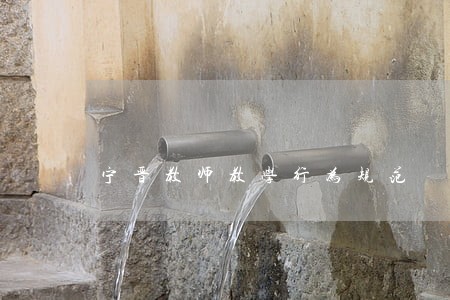 宁晋教师教学行为规范