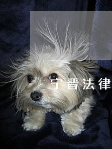 宁晋法律援助 宁晋法律援助