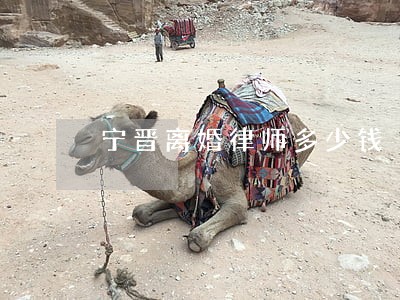 宁晋离婚律师多少钱 宁晋离婚律师多少钱