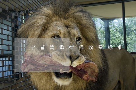 宁晋离婚律师收费标准 宁晋离婚律师收费标准