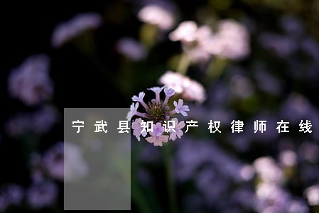 宁武县知识产权律师在线免费咨询