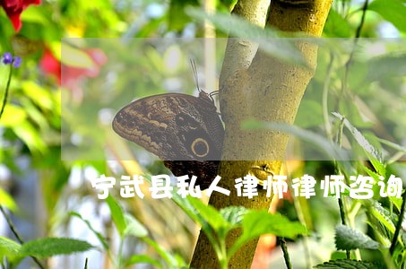 宁武县私人律师律师咨询电话 宁武县私人律师律师咨询电话