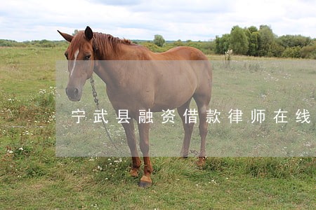 宁武县融资借款律师在线免费咨询 宁武县融资借款律师在线免费咨询