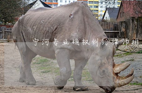 宁河专业确权纠纷律师排名 宁河专业确权纠纷律师排名