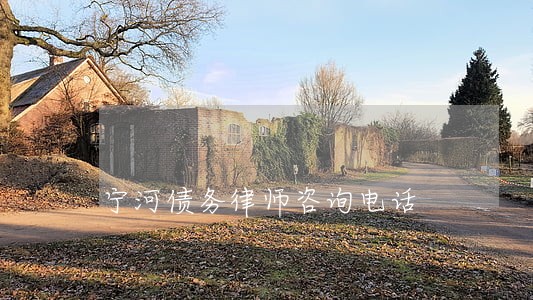 宁河债务律师咨询电话 宁河债务律师咨询电话