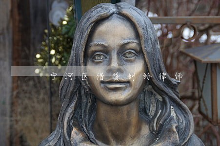 宁河区借贷纠纷律师 宁河区借贷纠纷律师