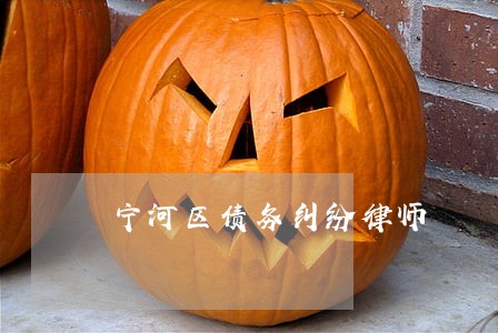 宁河区债务纠纷律师 宁河区债务纠纷律师