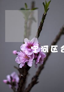 宁河区合同审查律师在线免费咨询