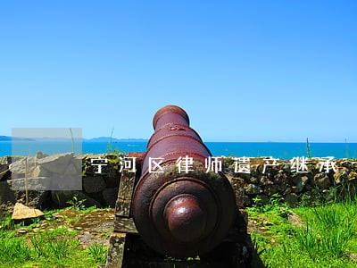 宁河区律师遗产继承 宁河区律师遗产继承