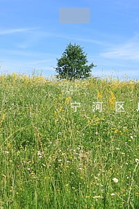 宁河区房地产纠纷律师 宁河区房地产纠纷律师