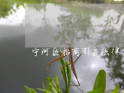 宁河区招商引资法律咨询热线