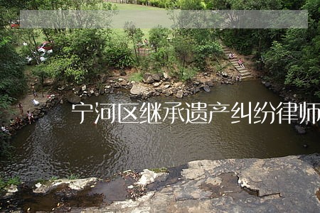 宁河区继承遗产纠纷律师