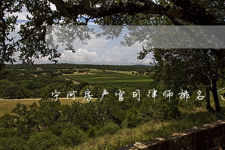 宁河房产官司律师排名