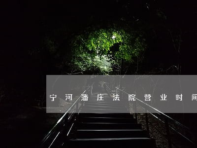 宁河潘庄法院营业时间 宁河潘庄法院营业时间