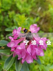 宁波专业债务律师电话 宁波专业债务律师电话