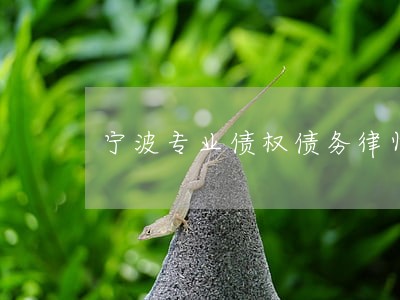 宁波专业债权债务律师微信咨询 宁波专业债权债务律师微信咨询