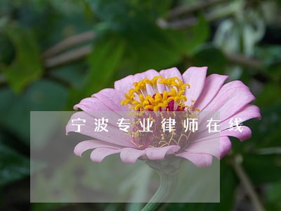 宁波专业律师在线