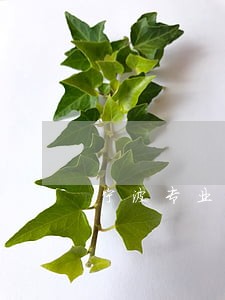 宁波专业的债务纠纷律师哪家强 宁波专业的债务纠纷律师哪家强