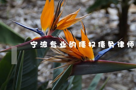 宁波专业的债权债务律师有哪些 宁波专业的债权债务律师有哪些