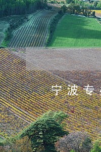 宁波专办债务合同律师哪家强 宁波专办债务合同律师哪家强