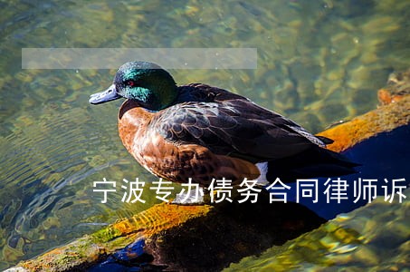 宁波专办债务合同律师诉讼费 宁波专办债务合同律师诉讼费