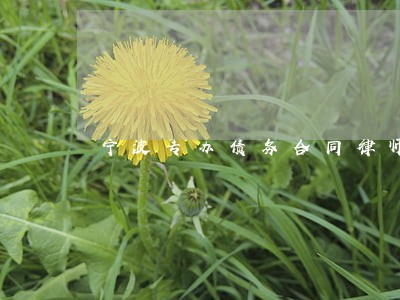 宁波专办债务合同律师费用 宁波专办债务合同律师费用
