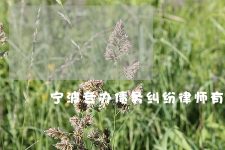 宁波专办债务纠纷律师有哪些