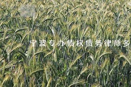 宁波专办债权债务律师多少钱 宁波专办债权债务律师多少钱