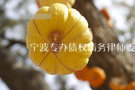 宁波专办债权债务律师委托步骤 宁波专办债权债务律师委托步骤