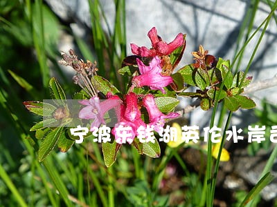 宁波东钱湖英伦水岸司法拍卖 宁波东钱湖英伦水岸司法拍卖
