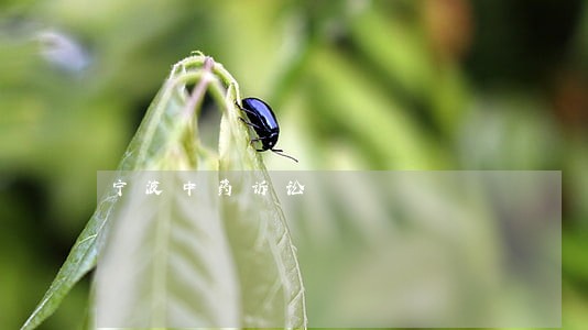 宁波中药诉讼 宁波中药诉讼