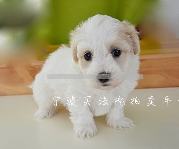 宁波买法院拍卖车的视频