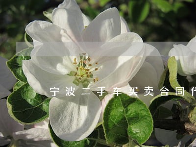 宁波二手车买卖合同代理律师费用 宁波二手车买卖合同代理律师费用