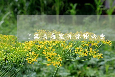 宁波交通案件律师收费 宁波交通案件律师收费