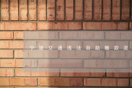 宁波交通违法自助缴款流程 宁波交通违法自助缴款流程